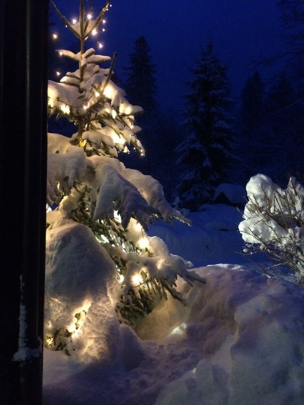  Unser Weihnachtsbaum im Alten Zollhaus