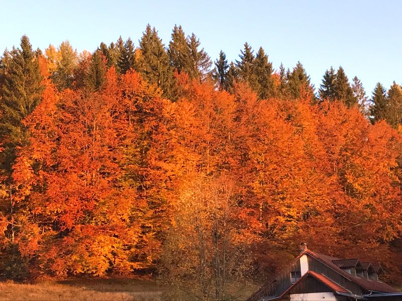 Indian Summer in Spiegelhütte