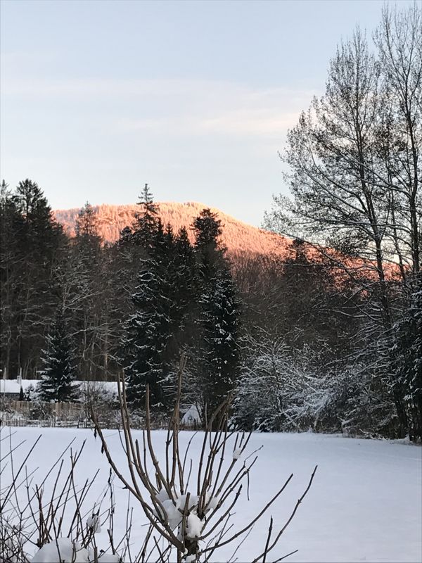 Unser Hausberg der große Falkenstein