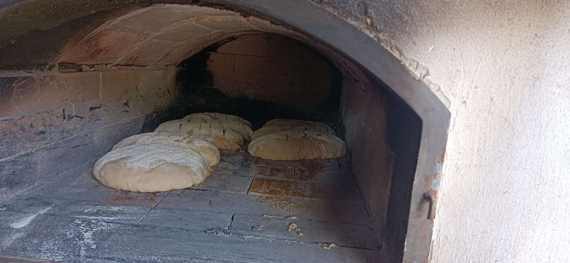 Brotbacken