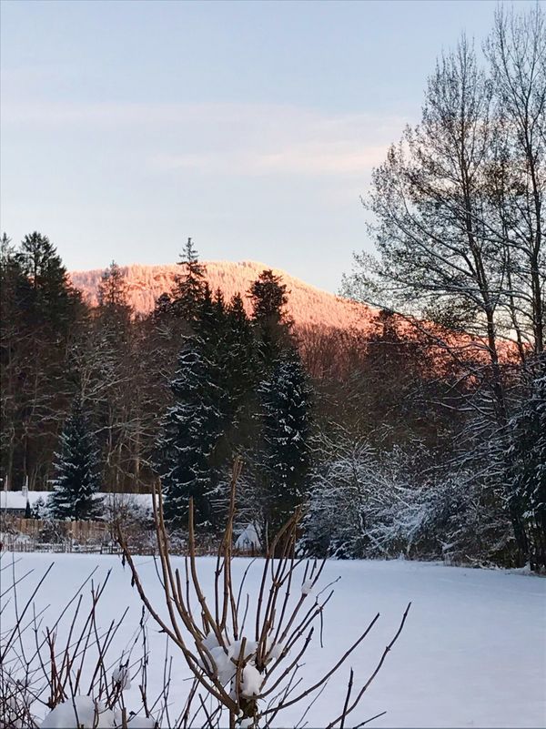 Sonnenuntergang am Falkenstein