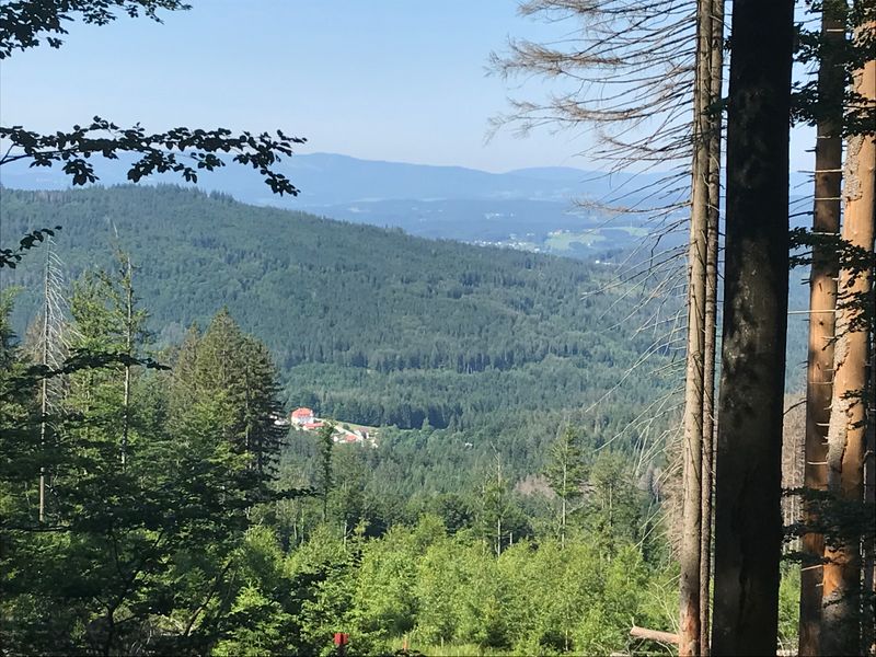 Blick vom Weg zum Schachtenhaus auf die Villa in Spiegelhütte