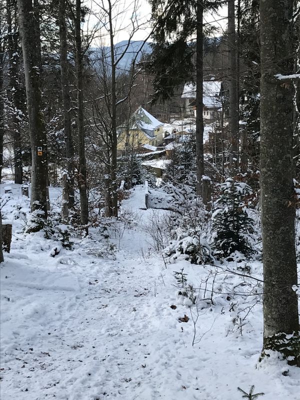 Blick auf unser Forsthaus vom Aufsteig zum Schachtenhaus