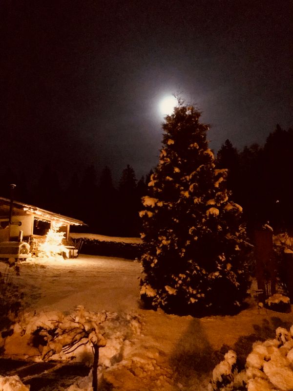 Die längste Vollmondnacht des Jahres 2020. Unsere "Backwahn" Hütte im weihnachtlichen Glanz